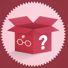 Überraschungsbox für Harry Potter Fans